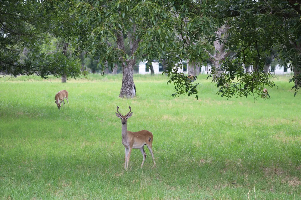3173 E Landings S Granbury, TX 76049