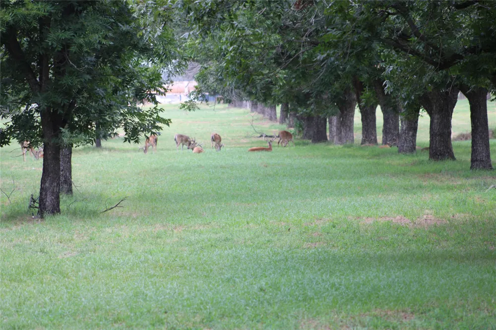 3173 E Landings S Granbury, TX 76049