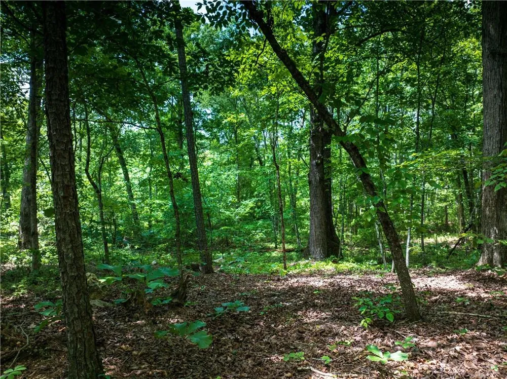 0 Dublin Circle Rome, GA 30145