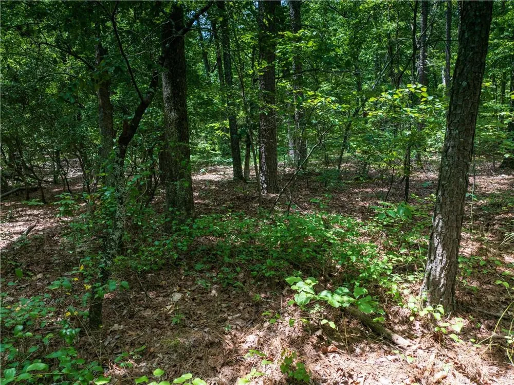 0 Dublin Circle Rome, GA 30145