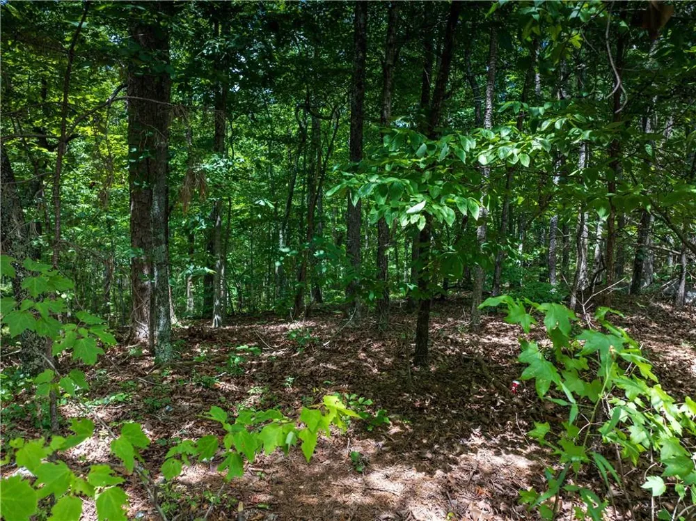 0 Dublin Circle Rome, GA 30145