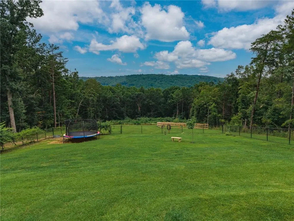 251 Birchwood Court Waleska, GA 30183