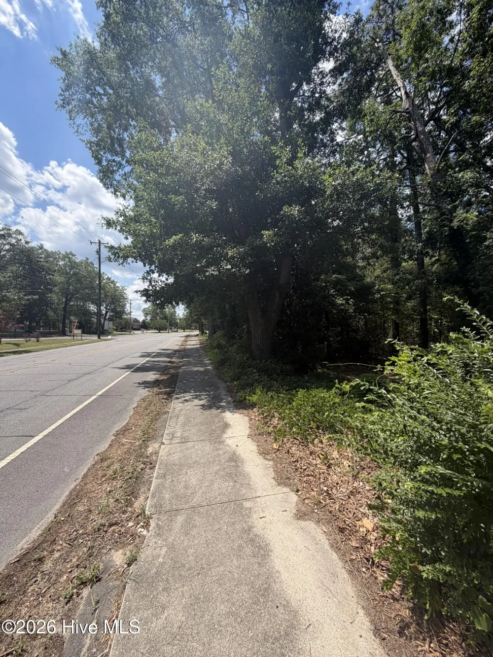 Tbd Us-220 Ellerbe, NC 28338