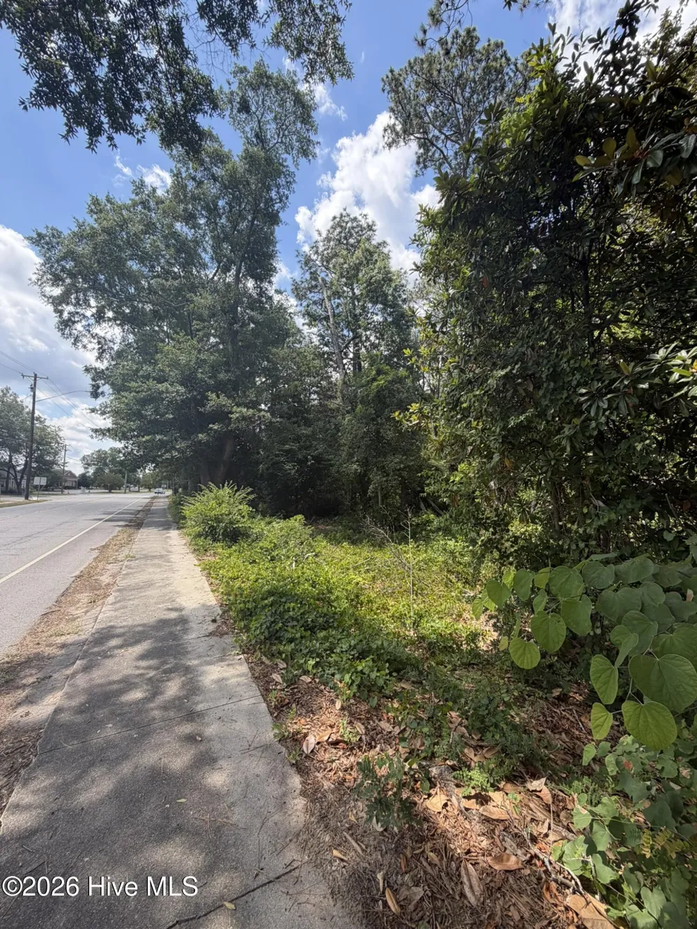 Tbd Us-220 Ellerbe, NC 28338