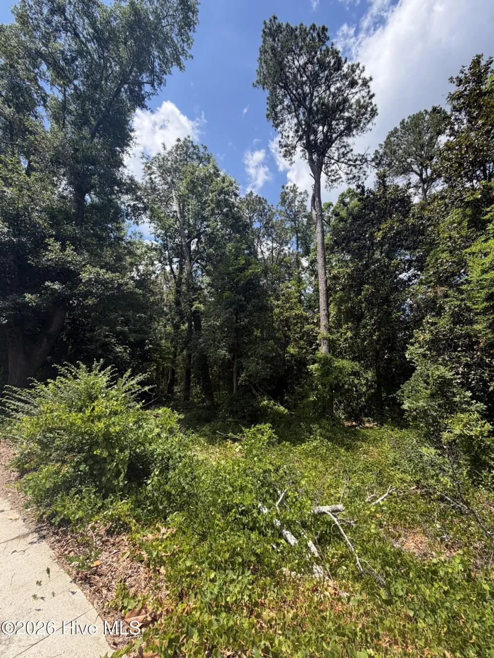 Tbd Us-220 Ellerbe, NC 28338