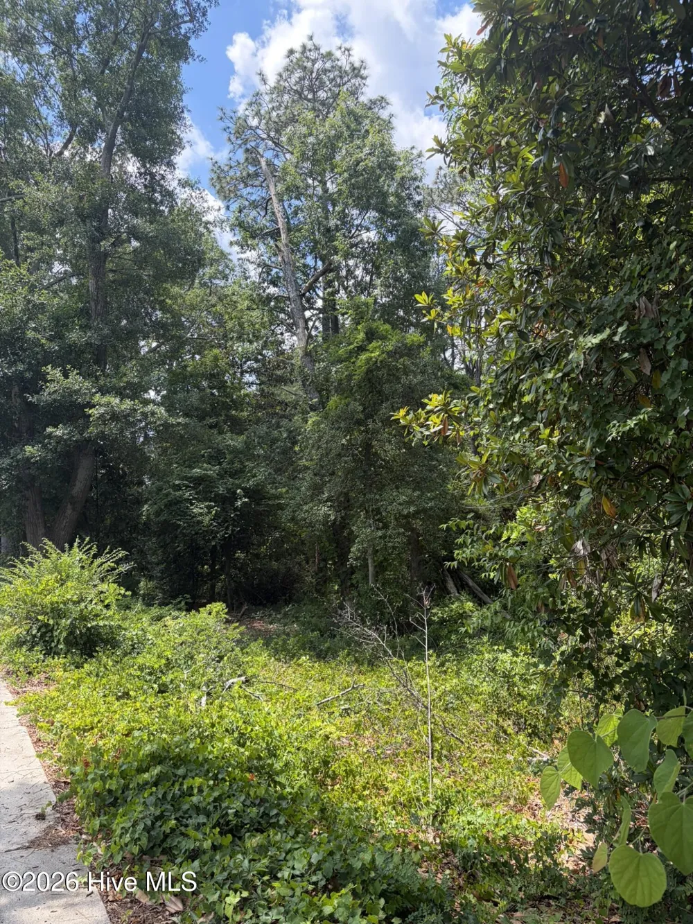 Tbd Us-220 Ellerbe, NC 28338