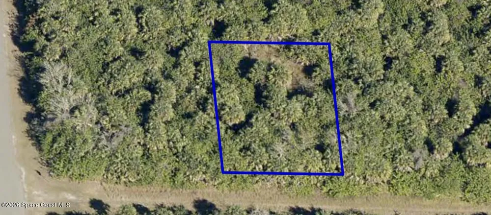 791 Burgess Street SW Palm Bay, FL 32908