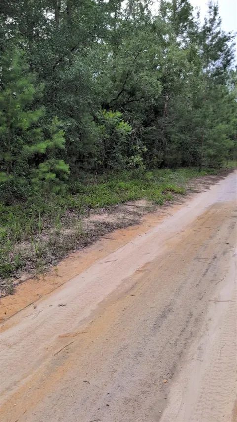 PINEWAY DRIVE
