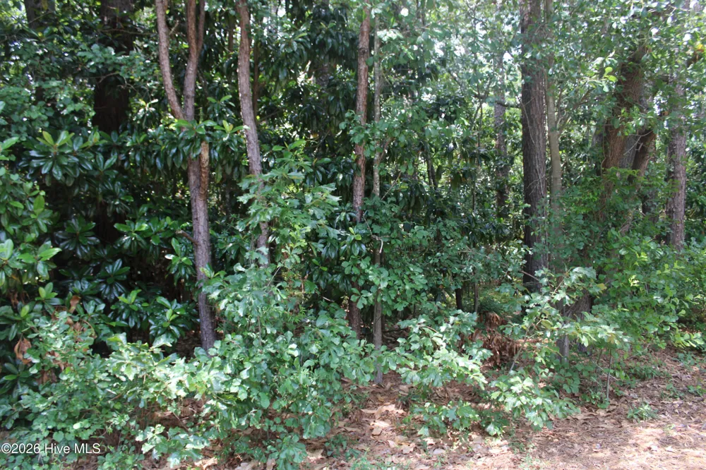 Lot 20 Grant Drive Goldsboro, NC 27534
