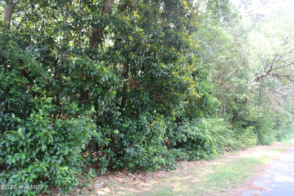Lot 20 Grant Drive Goldsboro, NC 27534