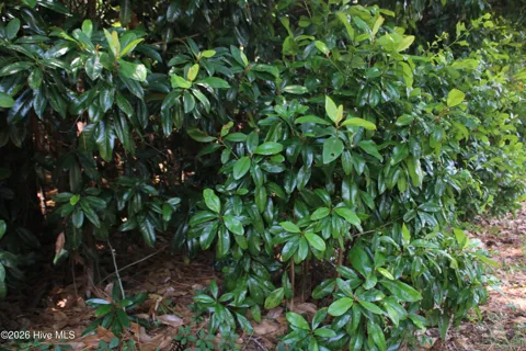 Lot 20 Grant Drive