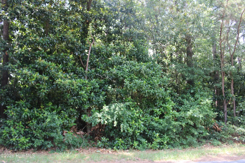 Lot 20 Grant Drive Goldsboro, NC 27534