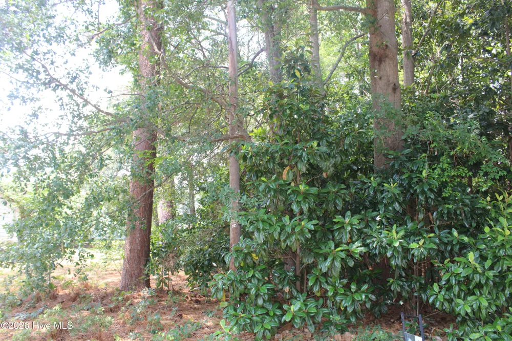 Lot 20 Grant Drive Goldsboro, NC 27534