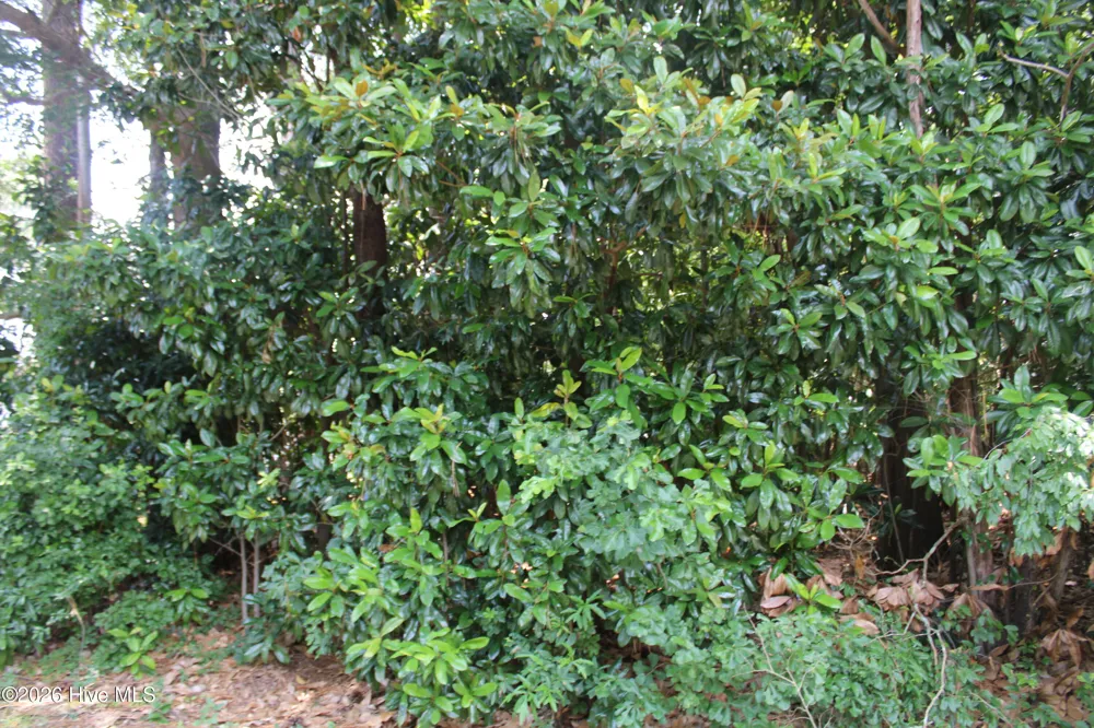 Lot 20 Grant Drive Goldsboro, NC 27534