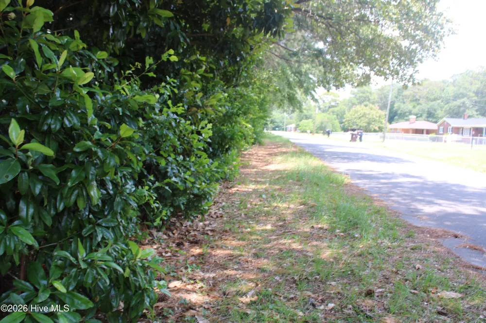 Lot 20 Grant Drive Goldsboro, NC 27534