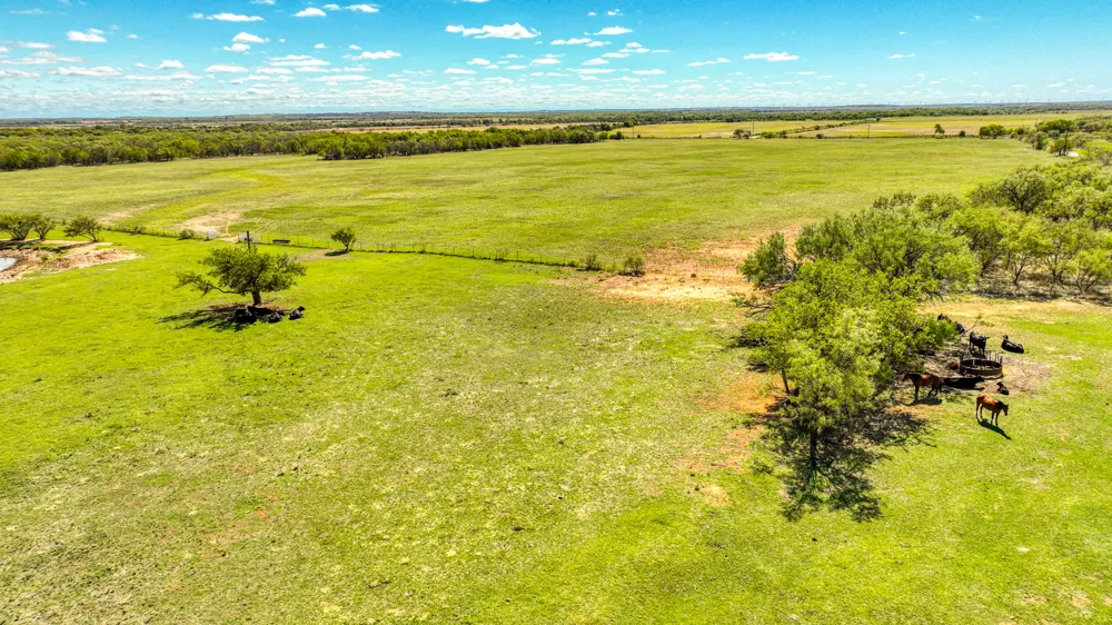 2337 Walsh Megargel, TX 76370