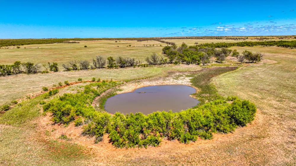 2337 Walsh Megargel, TX 76370