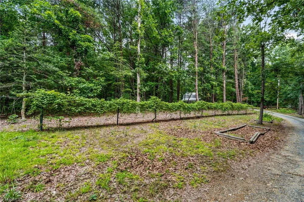 505 Tipperary Lane Denton, NC 27239