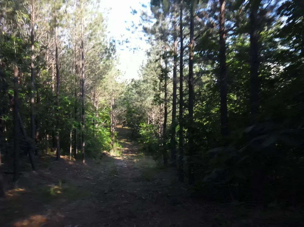 2932 Old Hohenwald Rd Linden, TN 37096