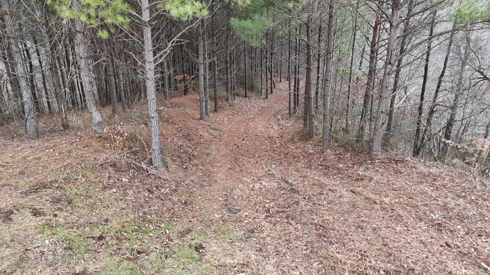 2932 Old Hohenwald Rd Linden, TN 37096