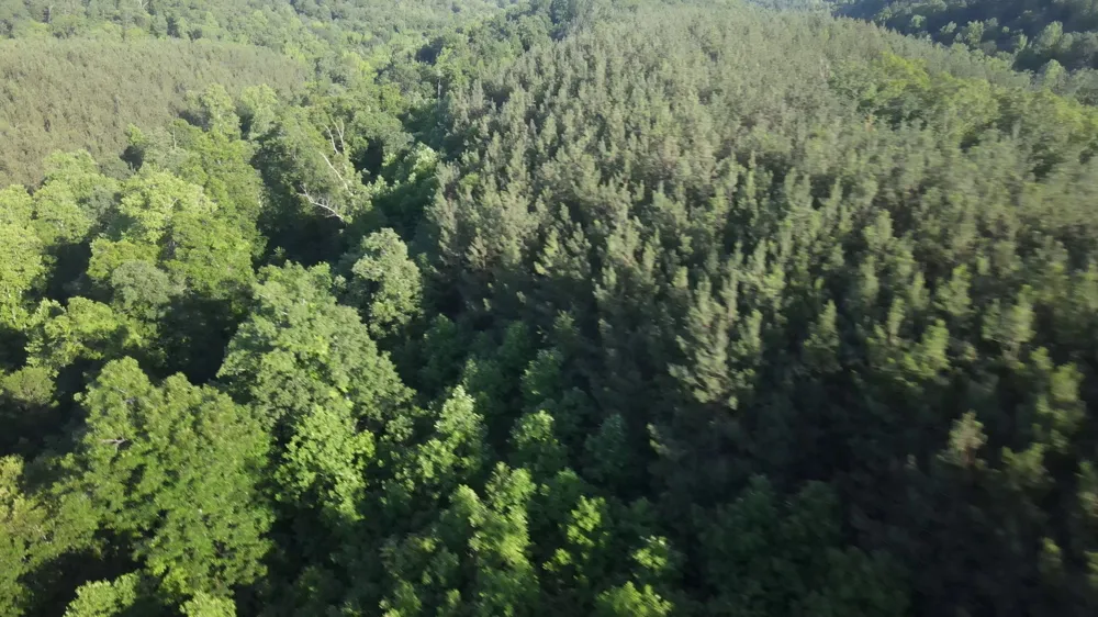 2932 Old Hohenwald Rd Linden, TN 37096
