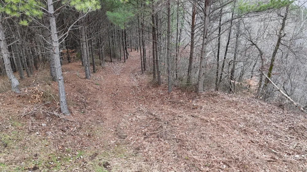 2932 Old Hohenwald Rd Linden, TN 37096