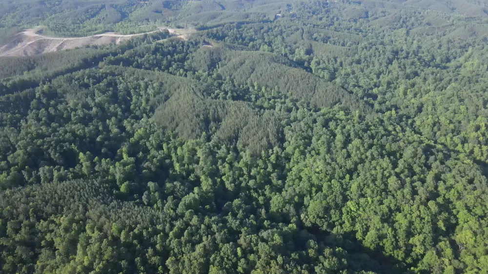 2932 Old Hohenwald Rd Linden, TN 37096