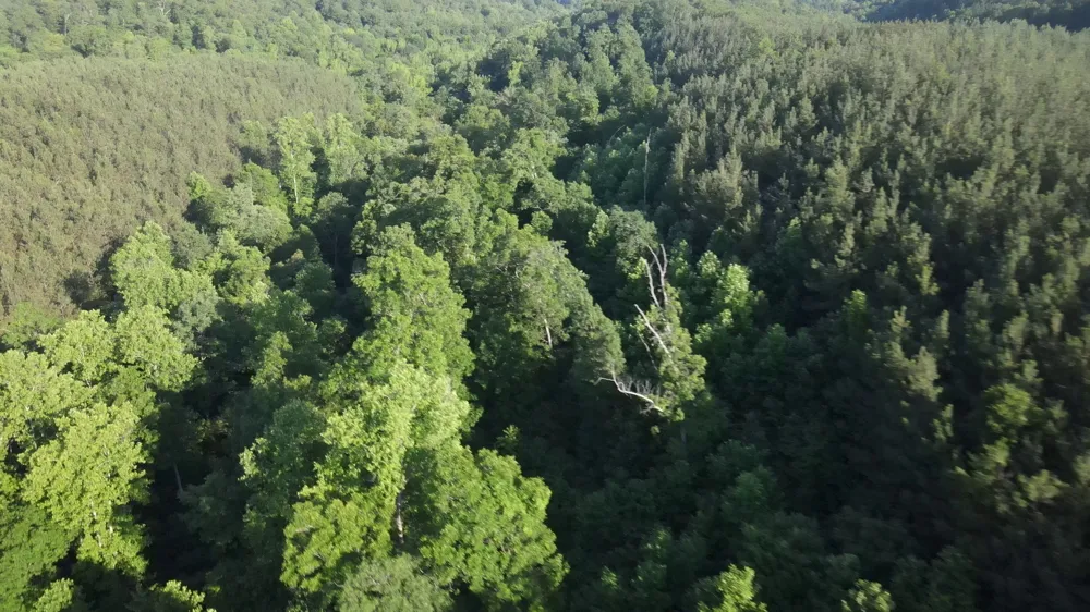 2932 Old Hohenwald Rd Linden, TN 37096