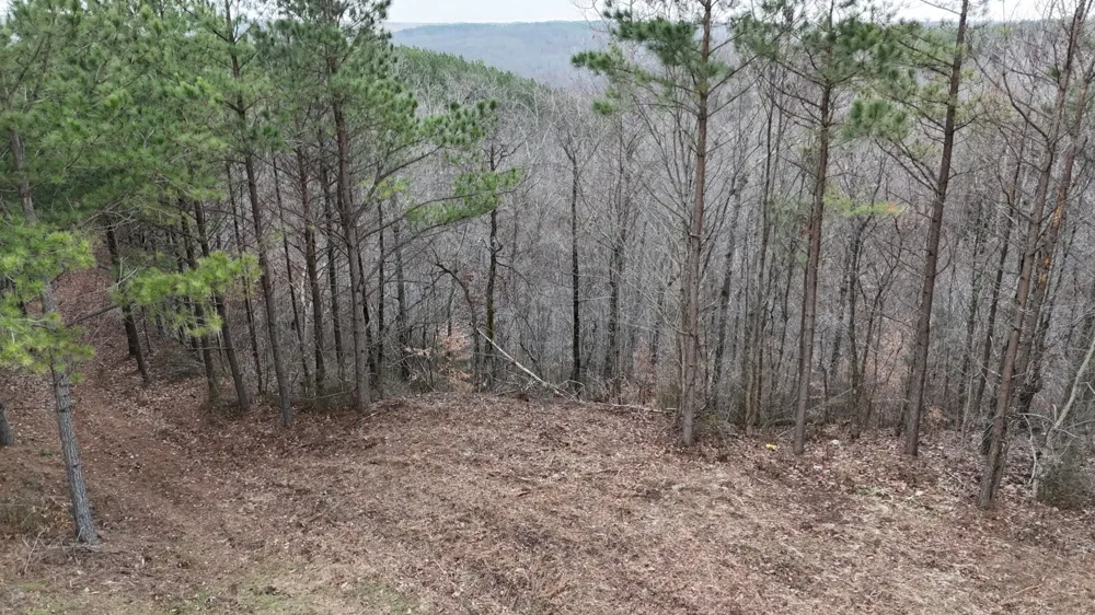 2932 Old Hohenwald Rd Linden, TN 37096