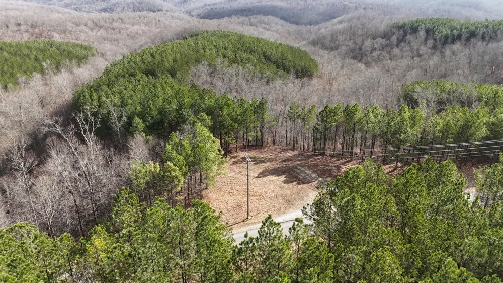 2932 Old Hohenwald Rd Linden, TN 37096