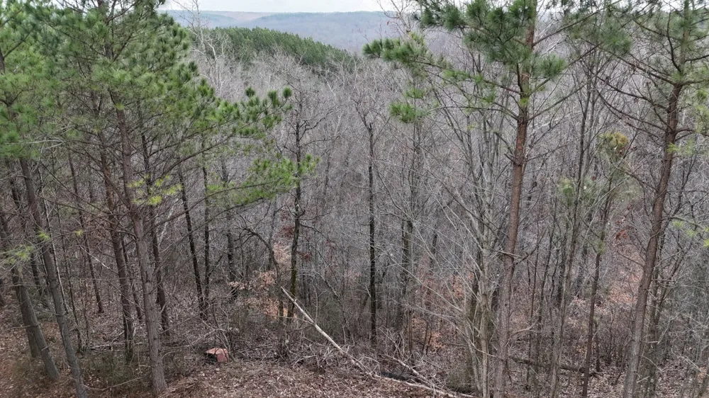 2932 Old Hohenwald Rd Linden, TN 37096