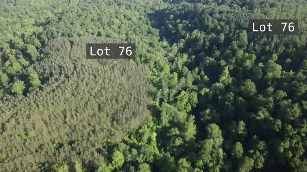 2932 Old Hohenwald Rd Linden, TN 37096
