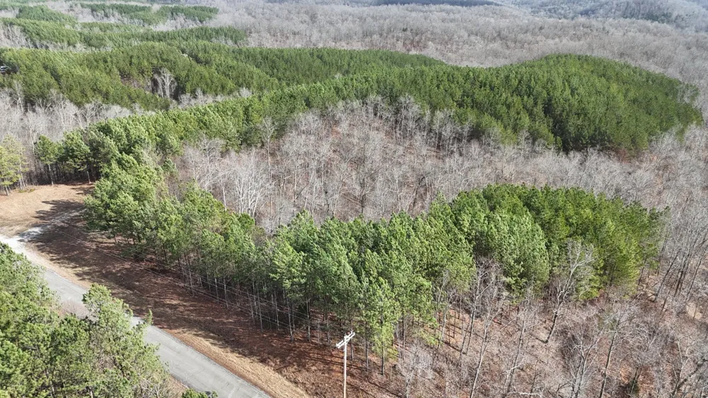 2932 Old Hohenwald Rd Linden, TN 37096
