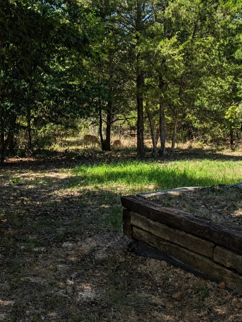 469 Holly Glen Murchison, TX 75156