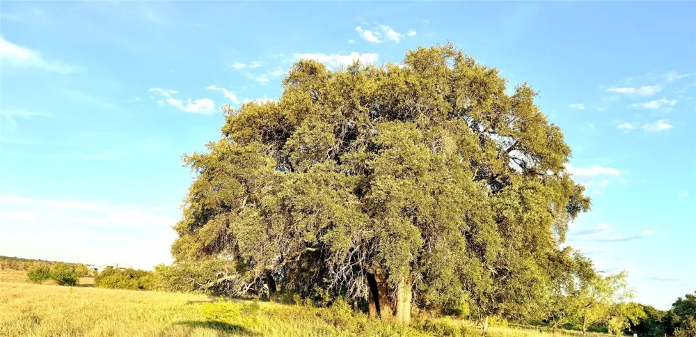 130 County Road 120 Goldthwaite, TX 76844