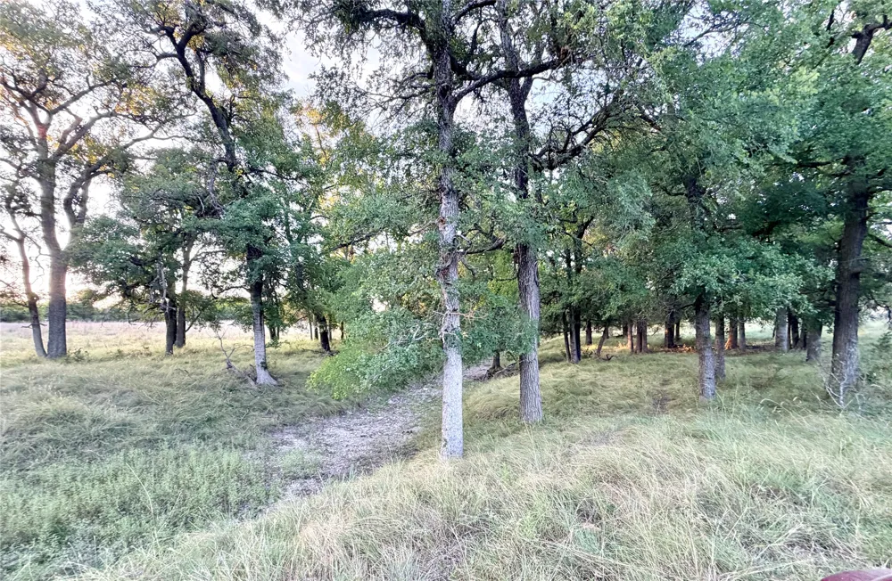130 County Road 120 Goldthwaite, TX 76844