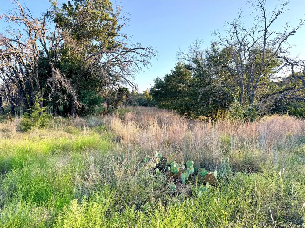 130 County Road 120 Goldthwaite, TX 76844