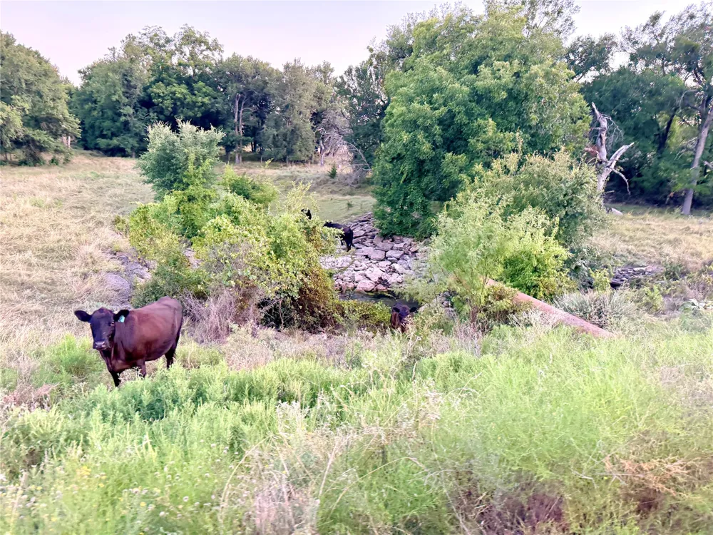 130 County Road 120 Goldthwaite, TX 76844