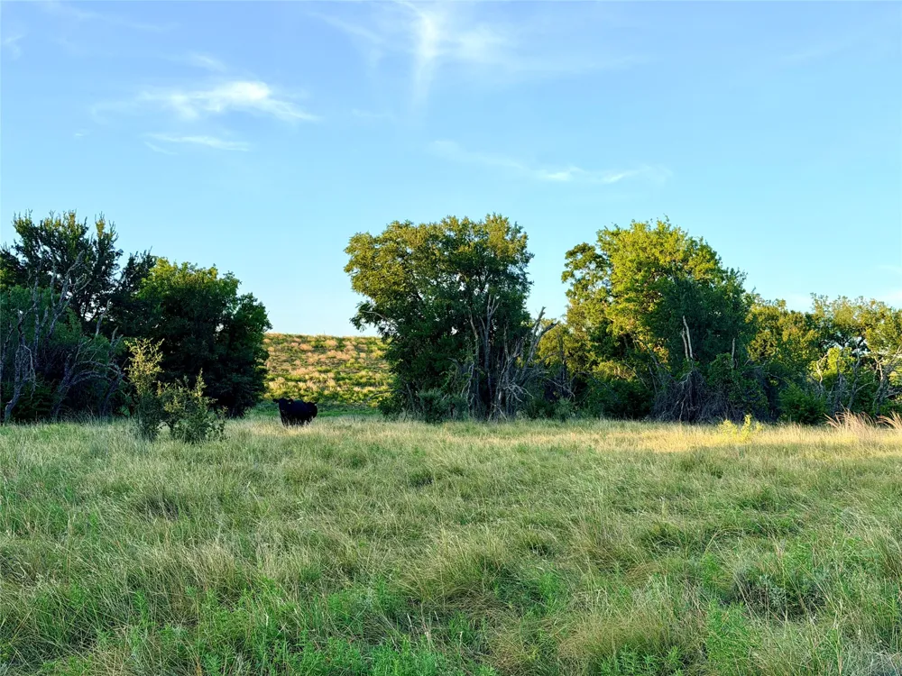 130 County Road 120 Goldthwaite, TX 76844