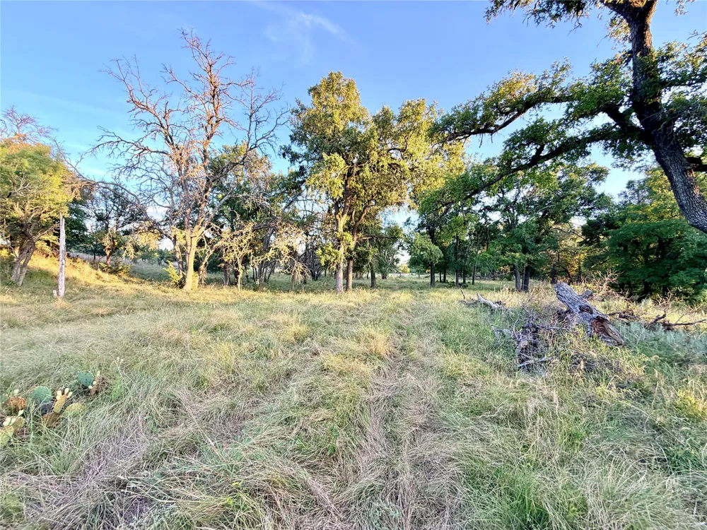 130 County Road 120 Goldthwaite, TX 76844
