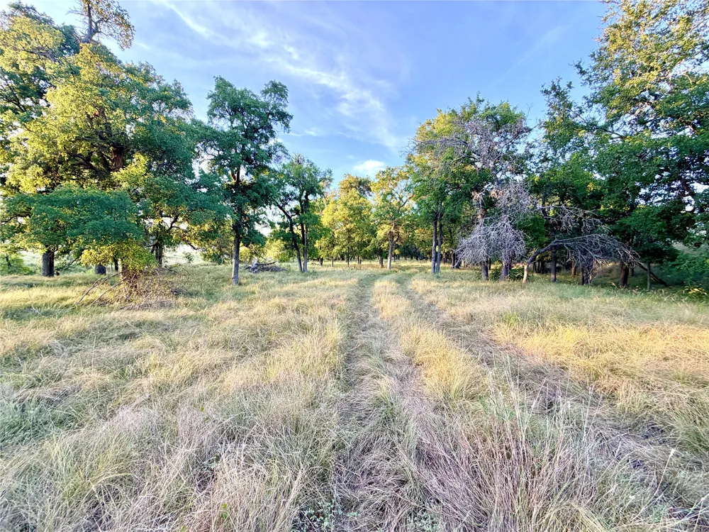 130 County Road 120 Goldthwaite, TX 76844