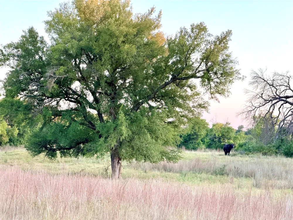 130 County Road 120 Goldthwaite, TX 76844