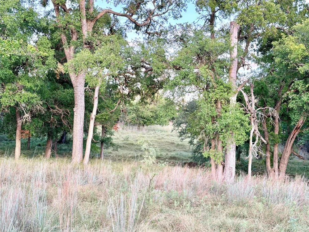 130 County Road 120 Goldthwaite, TX 76844