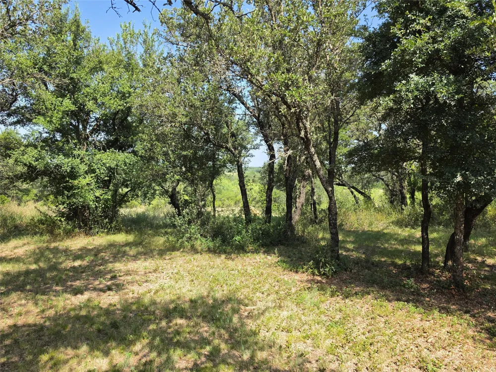 1705 County Road 318 Early, TX 76802
