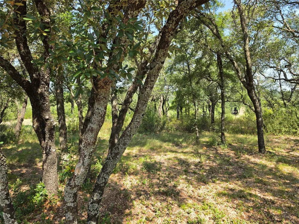 1705 County Road 318 Early, TX 76802