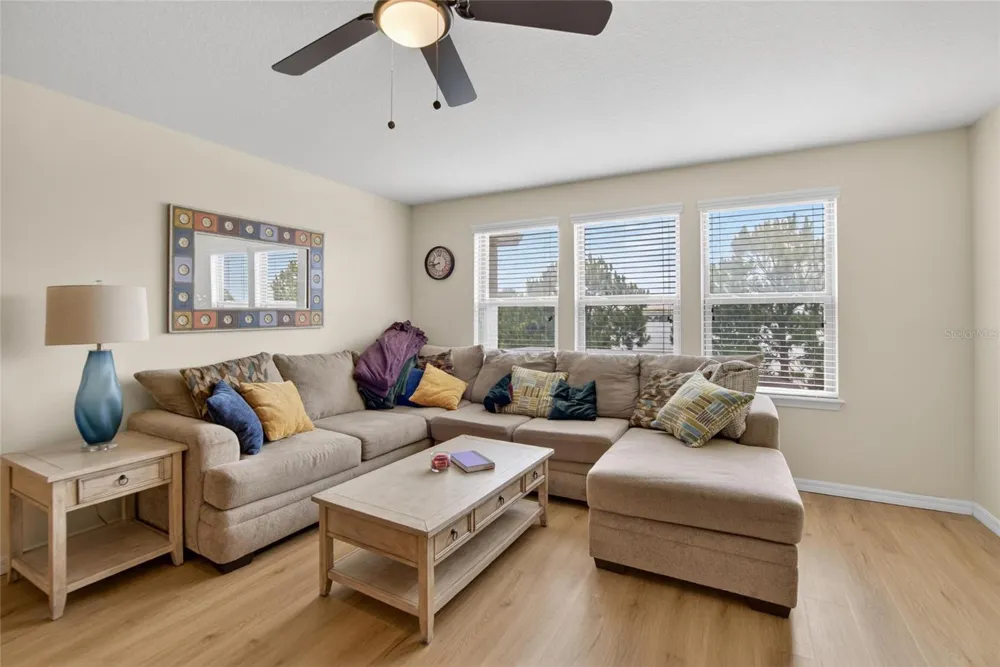 6207 MAGNOLIA PARK BLVD Riverview, FL 33578