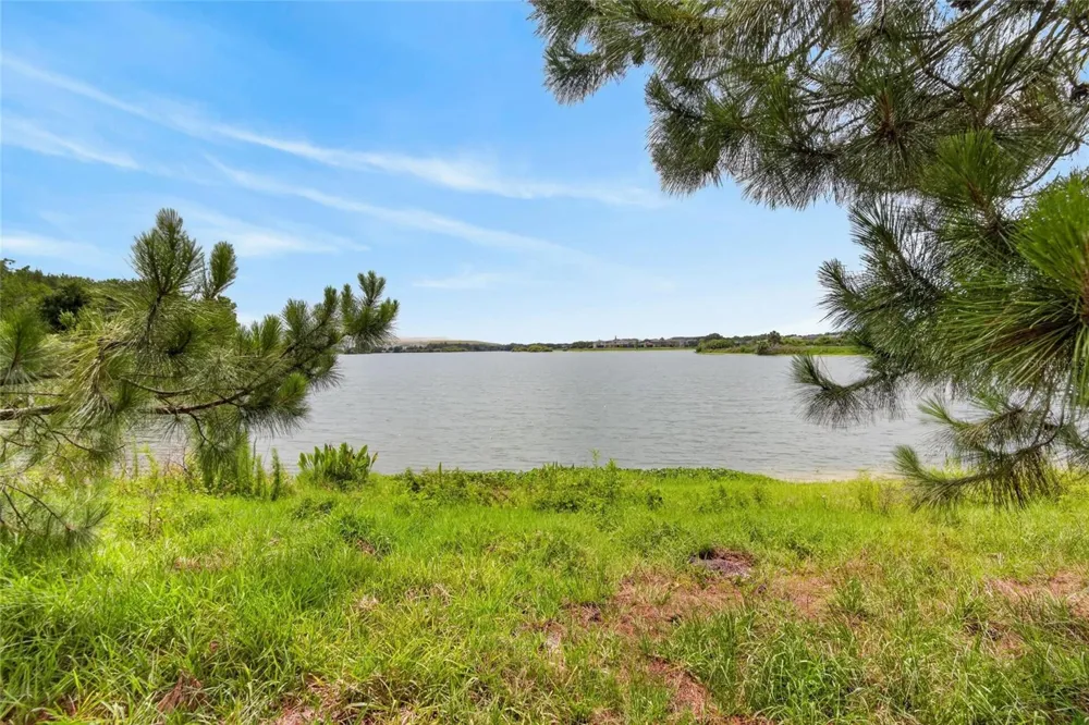 6207 MAGNOLIA PARK BLVD Riverview, FL 33578
