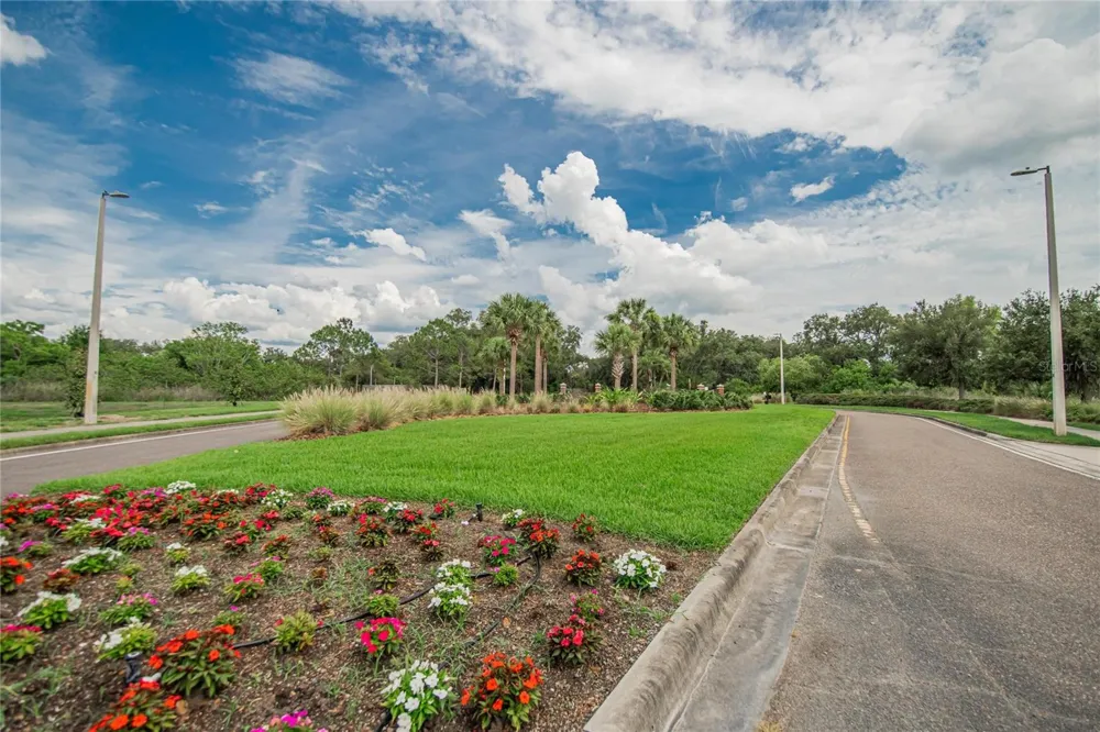 6207 MAGNOLIA PARK BLVD Riverview, FL 33578