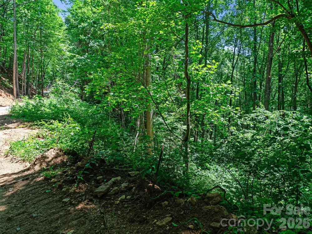 9999 Lovebird Lane #23 Candler, NC 28715