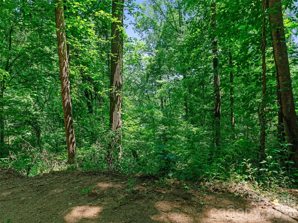9999 Lovebird Lane #23 Candler, NC 28715